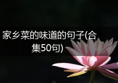 家乡菜的味道的句子(合集50句)