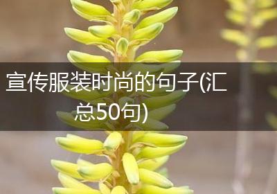 宣传服装时尚的句子(汇总50句)