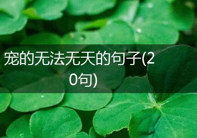 宠的无法无天的句子(20句)