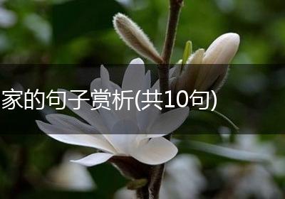 家的句子赏析(共10句)