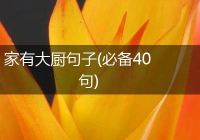 家有大厨句子(必备40句)