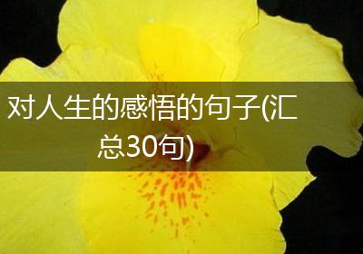 对人生的感悟的句子(汇总30句)