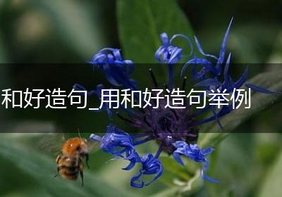 和好造句_用和好造句举例