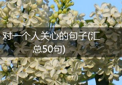 对一个人关心的句子(汇总50句)