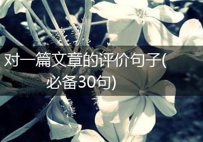 对一篇文章的评价句子(必备30句)