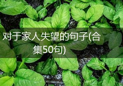 对于家人失望的句子(合集50句)