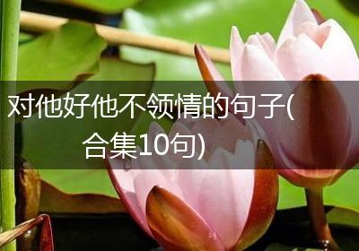 对他好他不领情的句子(合集10句)