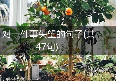 对一件事失望的句子(共47句)