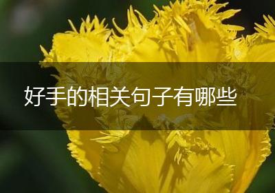 好手的相关句子有哪些
