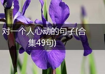 对一个人心动的句子(合集49句)