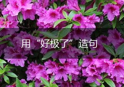 用“好极了”造句