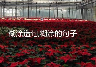 糊涂造句,糊涂的句子