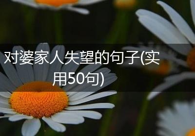 对婆家人失望的句子(实用50句)