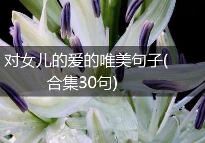 对女儿的爱的唯美句子(合集30句)