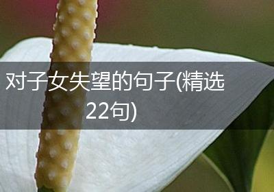 对子女失望的句子(精选22句)