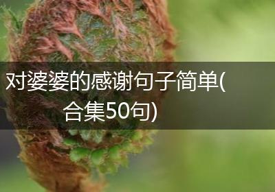 对婆婆的感谢句子简单(合集50句)