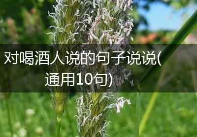 对喝酒人说的句子说说(通用10句)