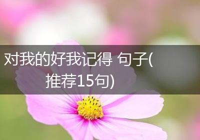 对我的好我记得 句子(推荐15句)