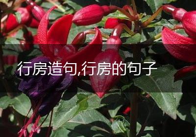 行房造句,行房的句子