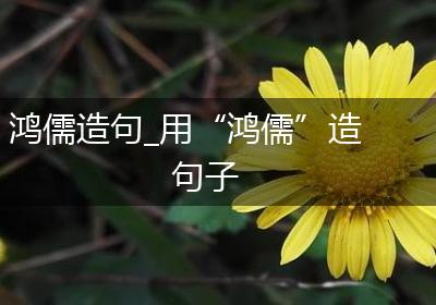 鸿儒造句_用“鸿儒”造句子