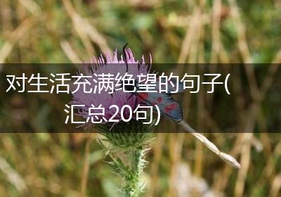 对生活充满绝望的句子(汇总20句)