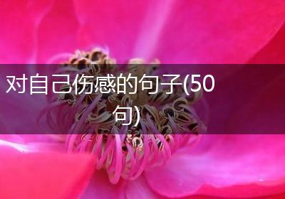 对自己伤感的句子(50句)