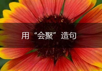 用“会聚”造句