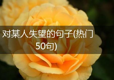 对某人失望的句子(热门50句)