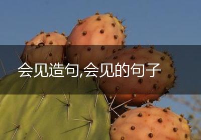 会见造句,会见的句子