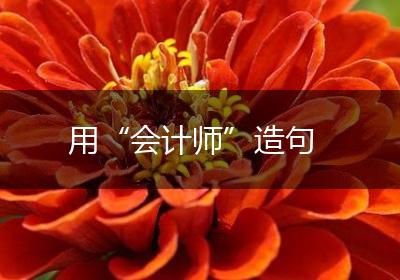 用“会计师”造句