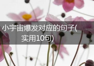 小宇宙爆发对应的句子(实用10句)