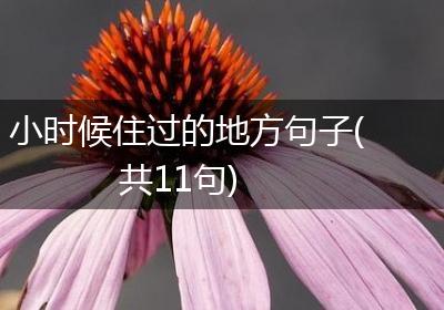 小时候住过的地方句子(共11句)