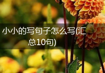 小小的写句子怎么写(汇总10句)