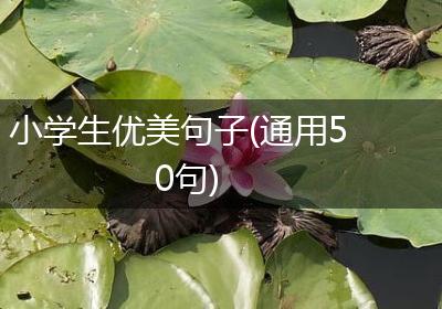 小学生优美句子(通用50句)