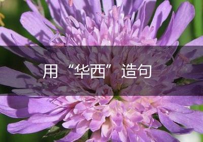 用“华西”造句