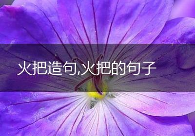 火把造句,火把的句子