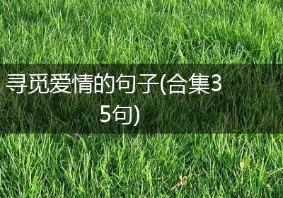 寻觅爱情的句子(合集35句)