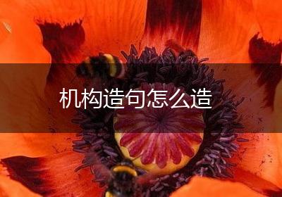 机构造句怎么造