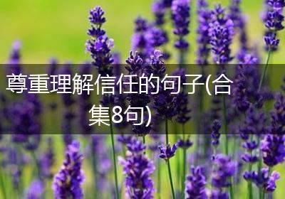 尊重理解信任的句子(合集8句)