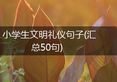 小学生文明礼仪句子(汇总50句)