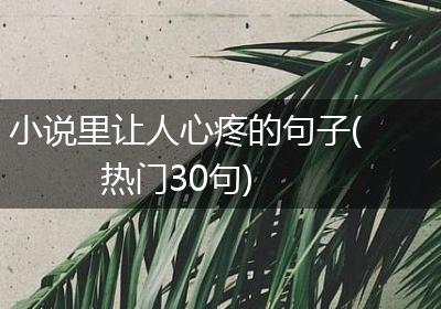 小说里让人心疼的句子(热门30句)