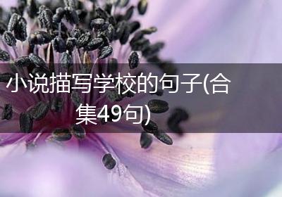 小说描写学校的句子(合集49句)