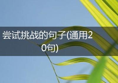 尝试挑战的句子(通用20句)