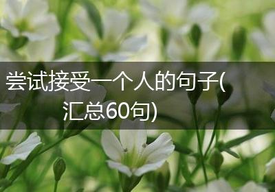 尝试接受一个人的句子(汇总60句)