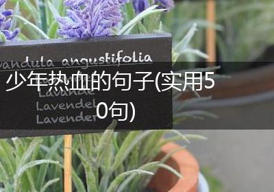 少年热血的句子(实用50句)
