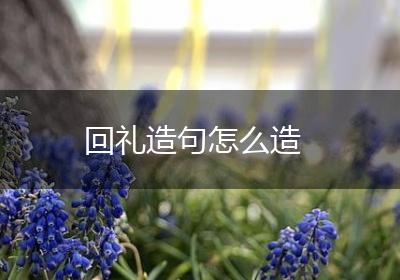 回礼造句怎么造