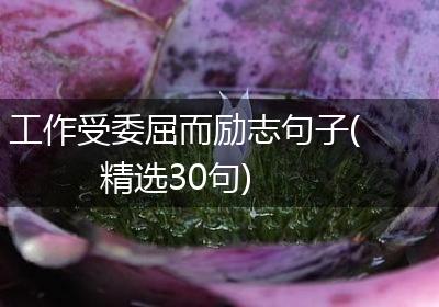 工作受委屈而励志句子(精选30句)