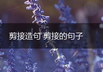 剪接造句 剪接的句子