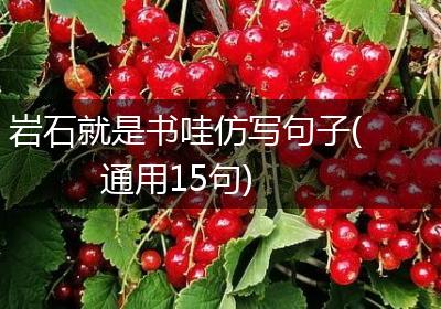 岩石就是书哇仿写句子(通用15句)