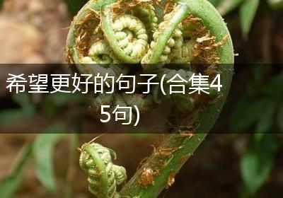 希望更好的句子(合集45句)